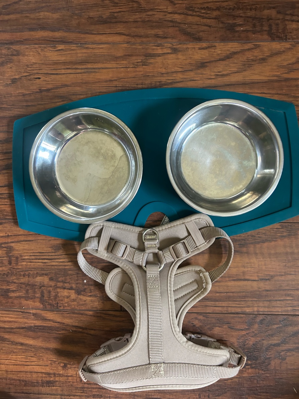 Puppy pet bundle Extra small XS adjustable  harness and dog dishes w rubber mat